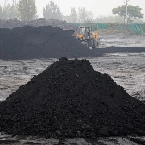 Eftirspurningur eftir koli sett met í 2025