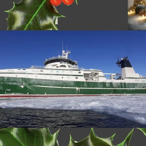 Jólaheilsan frá Markus