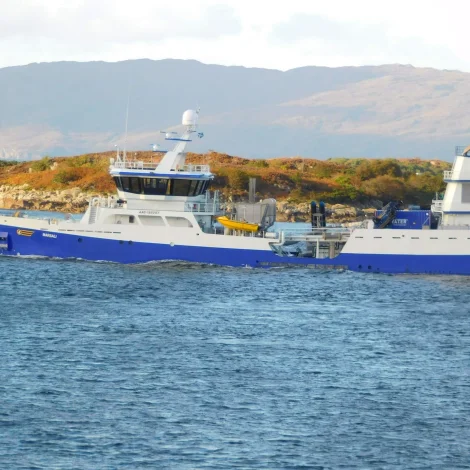 Jólaheilsan frá Marsali