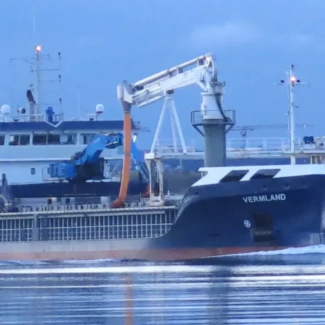 Jólaheilsan frá Vermland