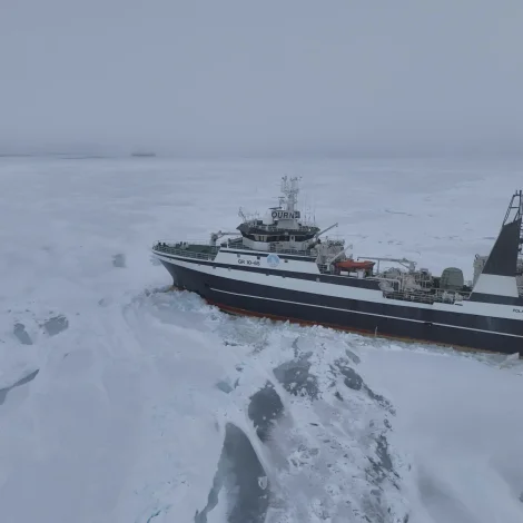 Jólaheilsan frá Polar Qaasiut