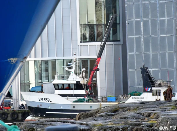 Tilvildarlig savnsmynd