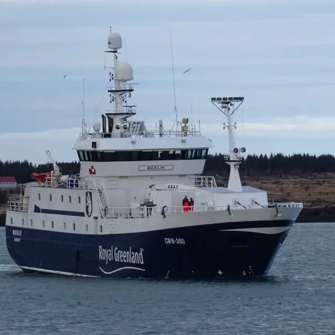 Jólaheilsan frá Masilik