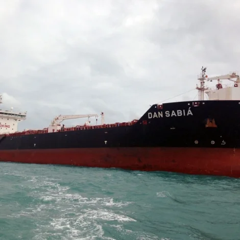 Jólaheilsan frá Dan Sabia