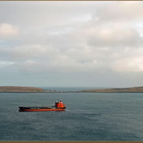 Jólaheilsan frá Torm Lotte