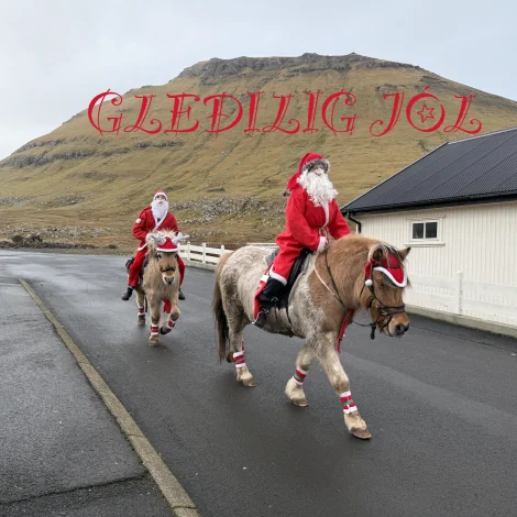 Gleðilig jól