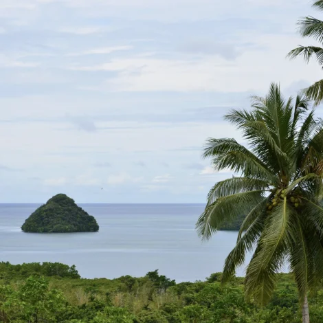 USA flytir tilflytarar til Palau