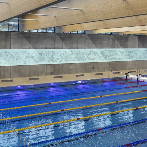 Svimjihøllin í Gundadali nýggja heimasíðu