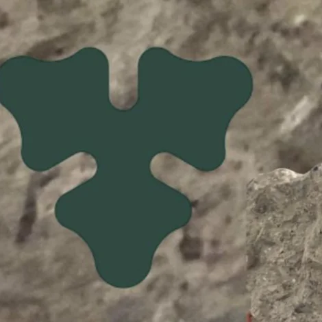 Carlsberggrunnurin játtað 1,5 mió. til elektronmikroskop