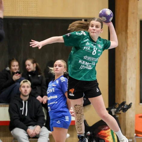 (Mynd: Sverri Egholm)