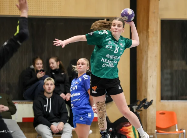 (Mynd: Sverri Egholm)