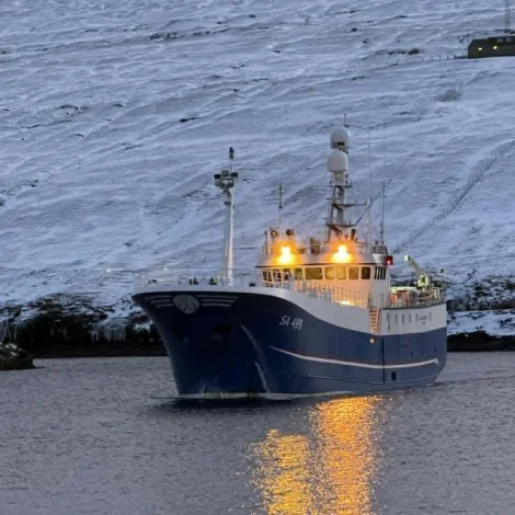 495 tons av frystum fiski eru í dag boðin út á Fiskamarknaðinum