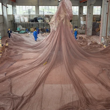 Vit innflyta fyri næstan 11 milliardir