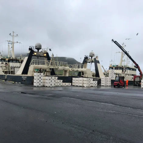 Breiðanes og Hamranes landa í Hvalba