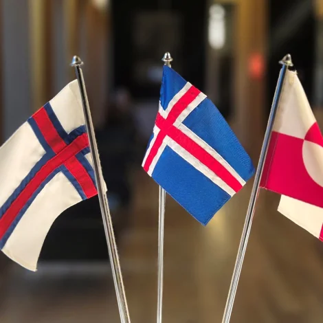 Útnorðurráðið um trivnaðin hjá ungum