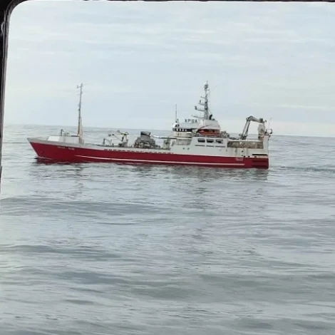 Hoyvík landar makrel í Kollafirði