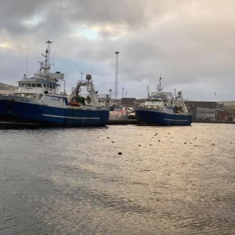 Bakur og Stelkur landa í Runavík