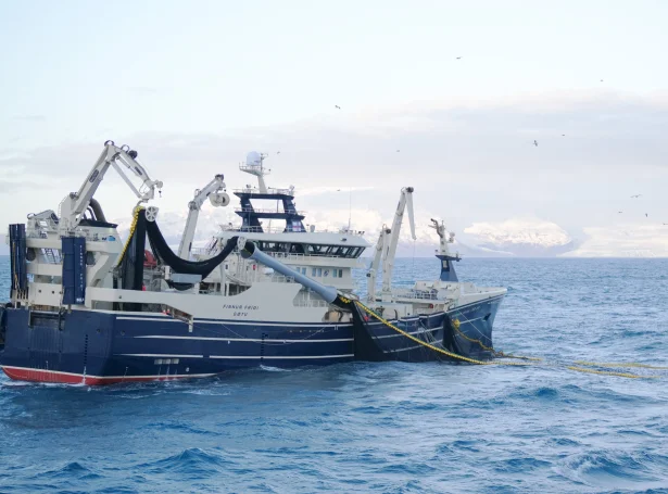 Finnur Fríði er eitt av skipunum, sum hevur lodnukvotu (Mynd: Sigmund av Teigum)