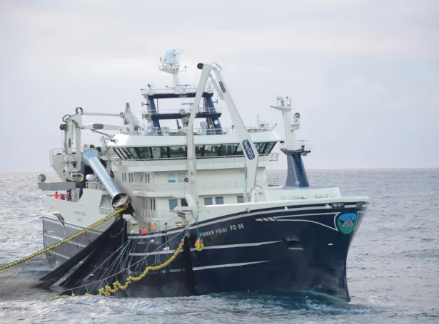 Mynd: Sigmund av Teigum