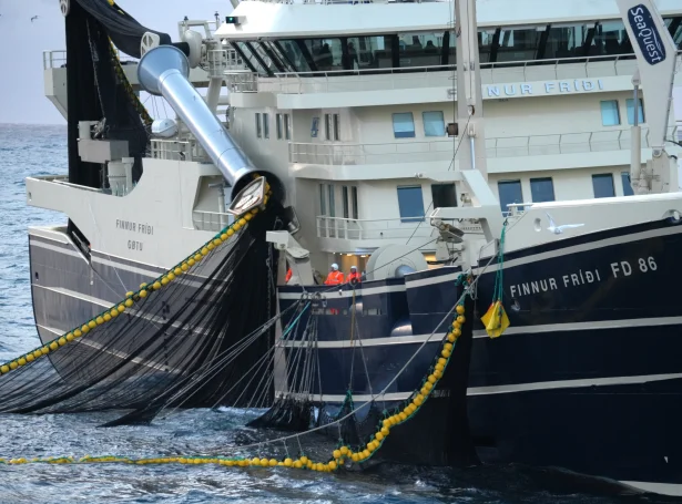 Finnur Fríði á lodnuveiðu (Mynd: Sigmund av Teigum)