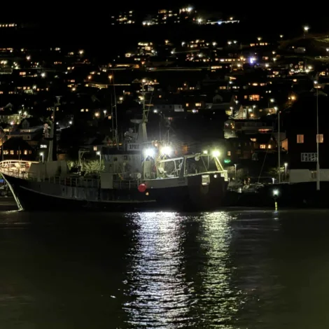 Thor borið við land á Tinganesi