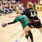 (Mynd: Sverri Egholm)