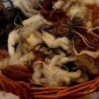 Alment tiltak um skiljing av ull