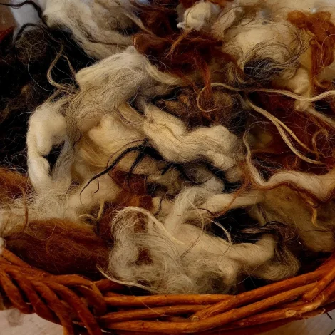 Alment tiltak um skiljing av ull