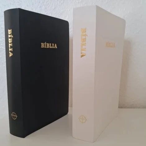 Hava endurprentað Bíbliuna