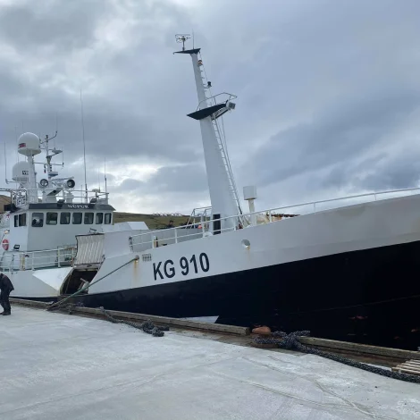 Núpur hevur landað á Kósini