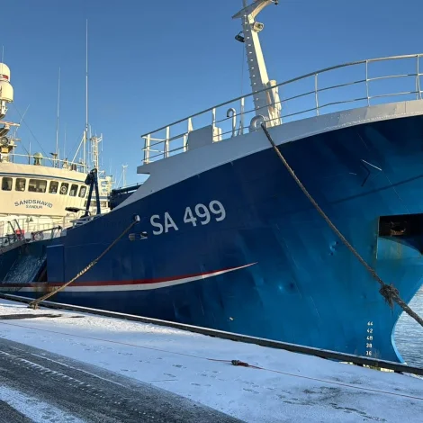 Sandshavið landar í Havn
