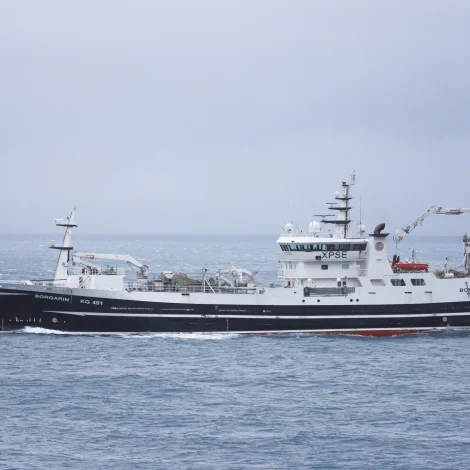 Trý skip aftrat farin á svartkjaftaveiðu í føroyskum sjógvi