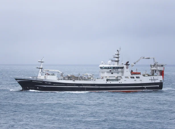 norgarin er eitt av skipunum, sum er farið á svartkjaftaveiðu (Savnsmynd: Kiran Jóanesarson)