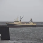 Steintór landar í Hvalba