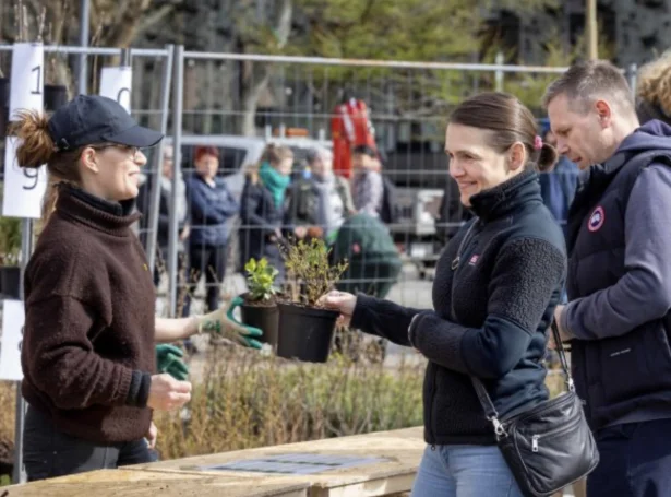 Plantið eitt træ er eitt av afturvendandi tiltøkunum (Savnsmynd: Tórshavnar kommuna)