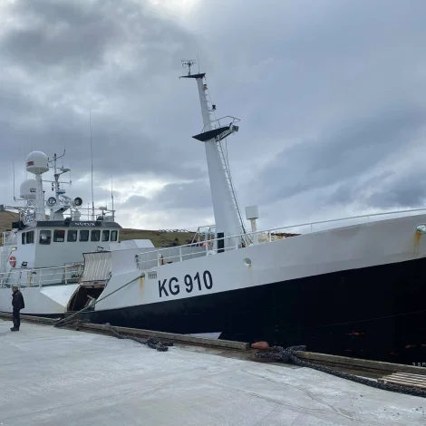 Núpur landar á Kósini