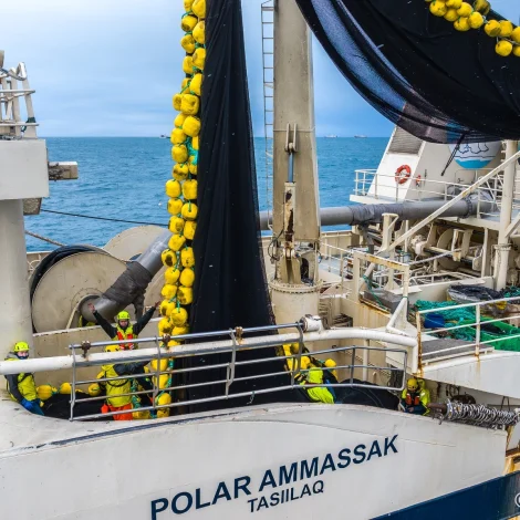 Polar Ammassak landar til Varðan Pelagic