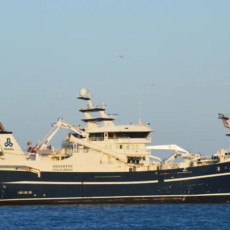 Høgaberg til eftirlit í Skagen