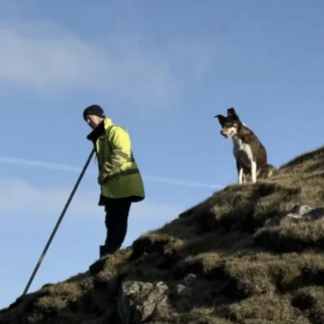 Seyðahundakapping á Vatnaskørðum í dag