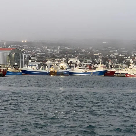 Rankin landaði í gjár