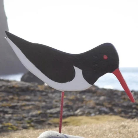 Grækarismessuhald í Vági sunnudagin