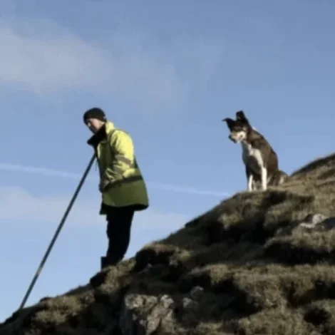 Seyðahundkappingin Faroese National á Viðareiði í vikuskiftinum