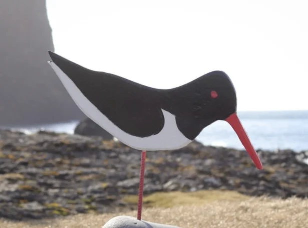 (Mynd: Vágs kommuna)