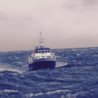 Bakur og Stelkur landa í Runavík