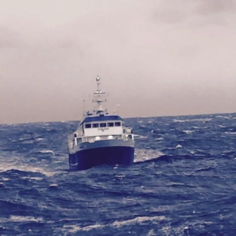 Bakur og Stelkur landa í Runavík