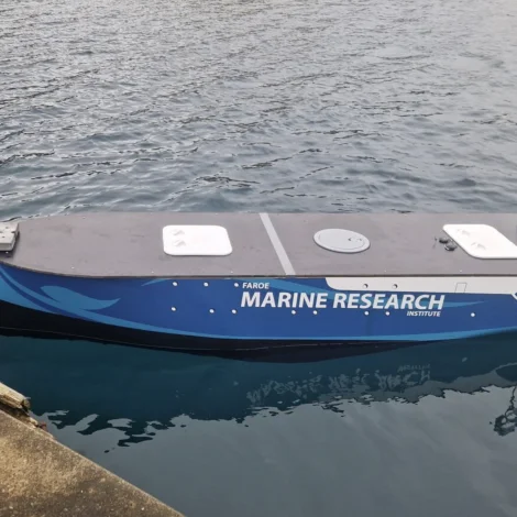 Bacheloruppgáva nýggjur granskingarpallur