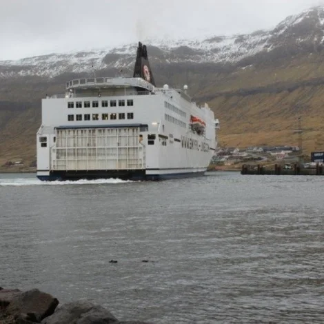 Norrøna krokar eystur úr norður Jútlandi
