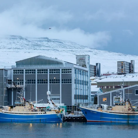 Jaspis og Ametyst landa á Kósini