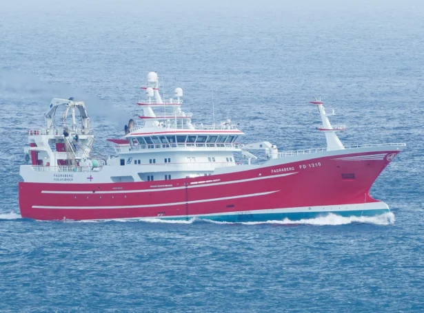 Fagraberg ávegis suður á svartkjaftafelti sunnanfyri Føroyar (Mynd: Gorm Niclassen)