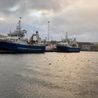 Bakur og Stelkur landa í Runavík